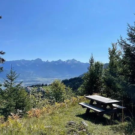 Grand Atypique A La Montagne Avec Vue Unique Torgon