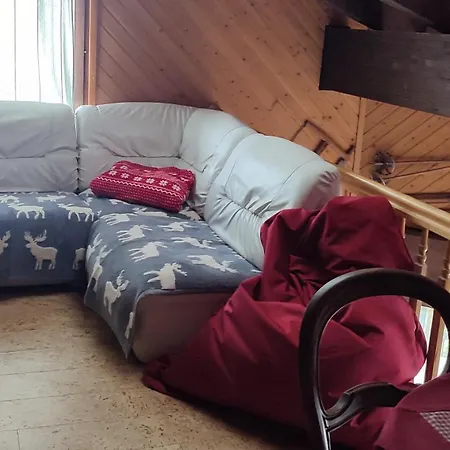Apartament Grand Atypique A La Montagne Avec Vue Unique Torgon