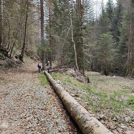 Grand Atypique A La Montagne Avec Vue Unique Apartment *